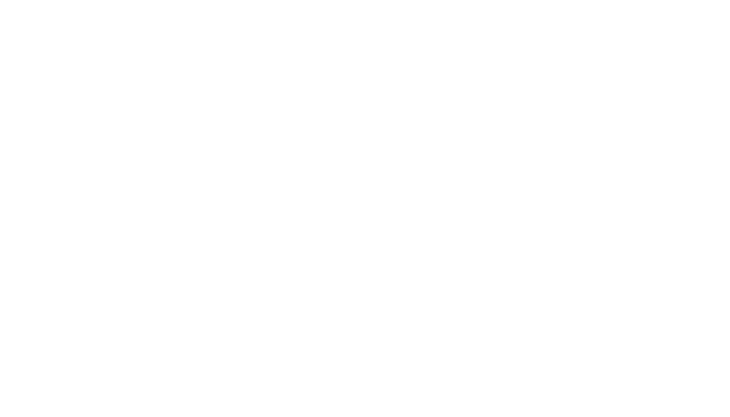 ISHIZAKA HINAKO Website